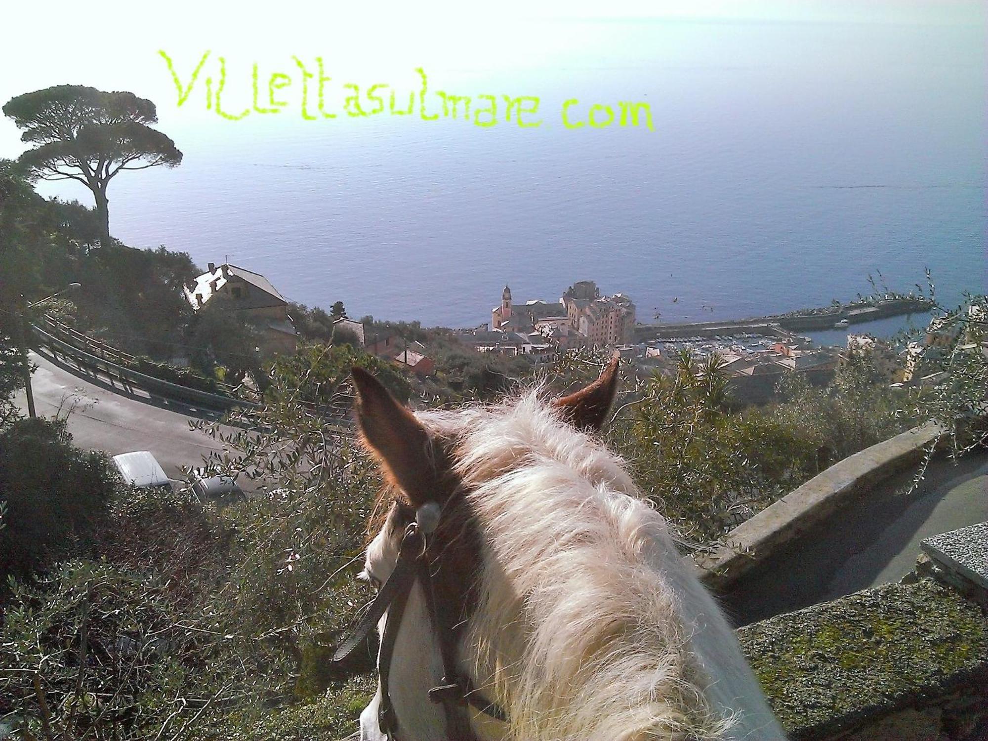קמוגלי Villetta Sul Mare מראה חיצוני תמונה